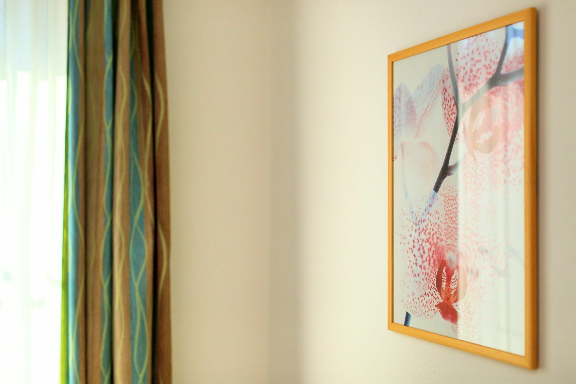 Penzion Krumlov - Massage Studio Český Krumlov Dış mekan fotoğraf